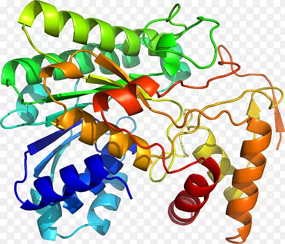 �������л����߶���-������