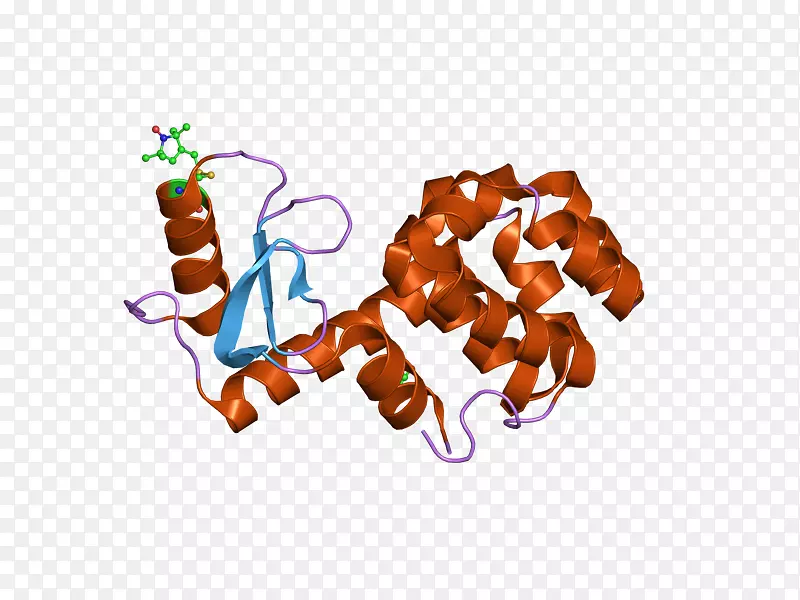 ��������Ʒ��ɫS.A��-������