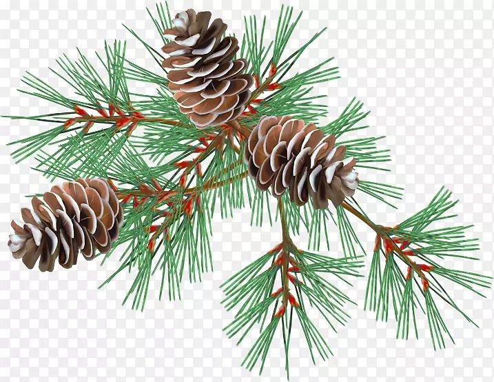 ������������ɼͼ��gif-����-������