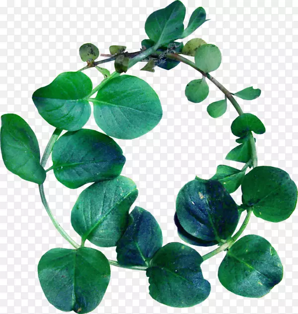 ����ͼƬpngͼƬrgb��ɫģ��adobe Photoshop-����-������