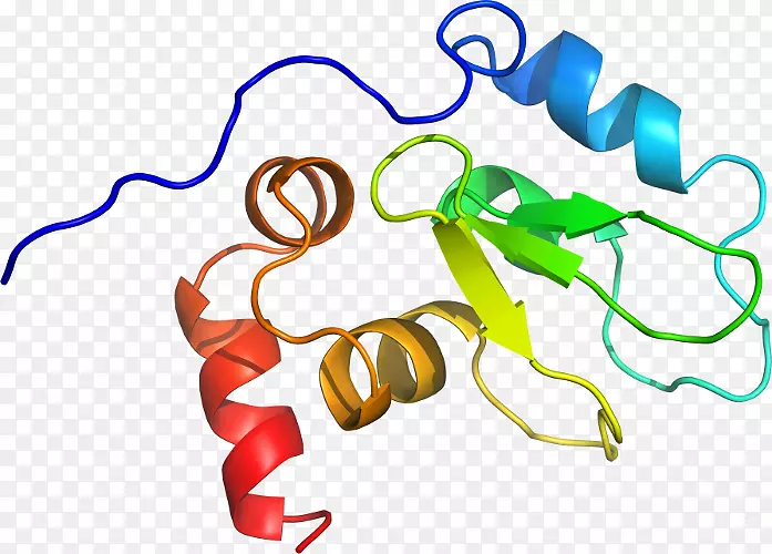 �������л�����������-������