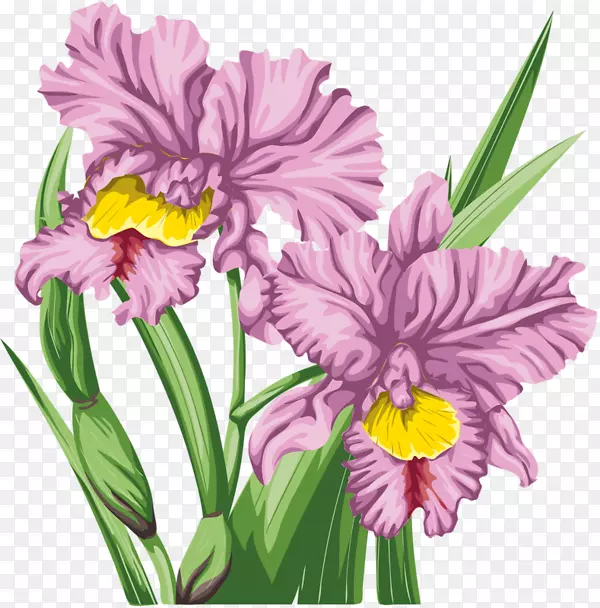 ��������л���������-������