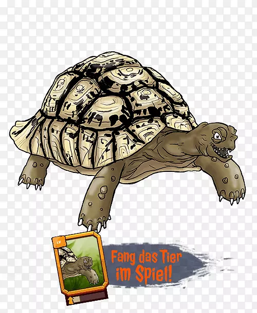 �й깫˾ԭʼ���ڹ궯��-������