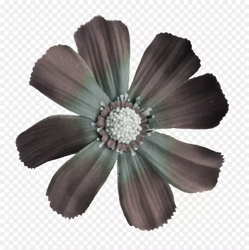 ��ʦ�����0��������-��ʦ-������