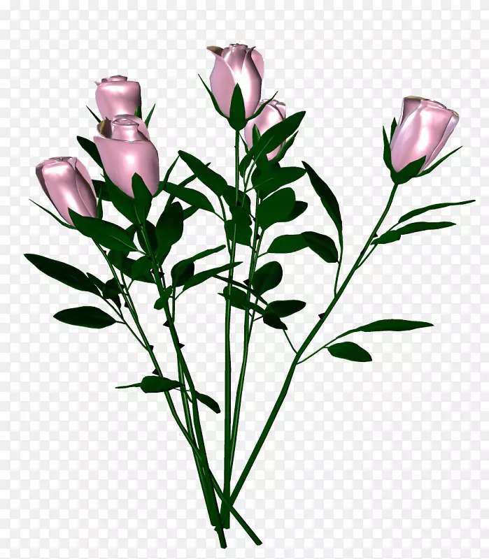 ���л�����������-������