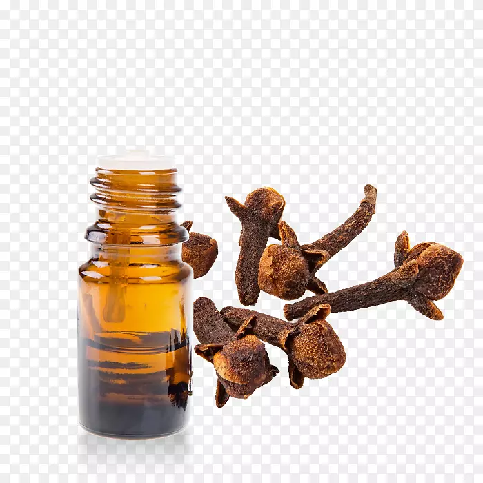 Ӣ��޹�²ݾ���޹�²���С����-������