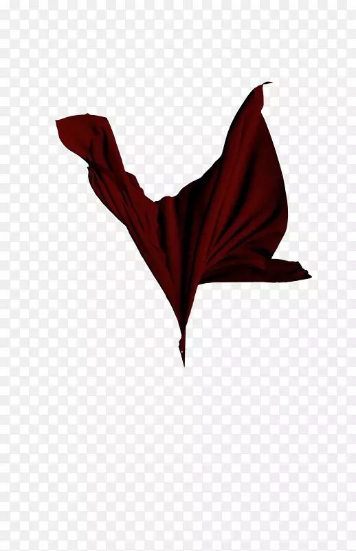 ����.t��.��ɫpng����ͼ.Cortinas y persiana-������