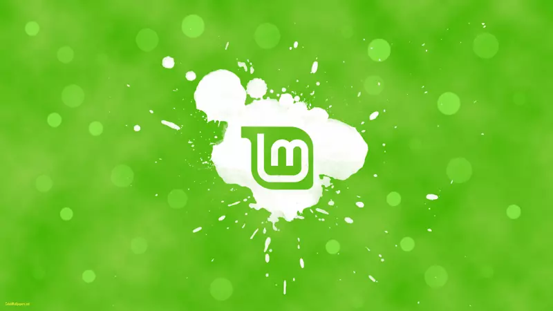 linux mint������������ֽ��ʾ�ֱ��ʱ���-������