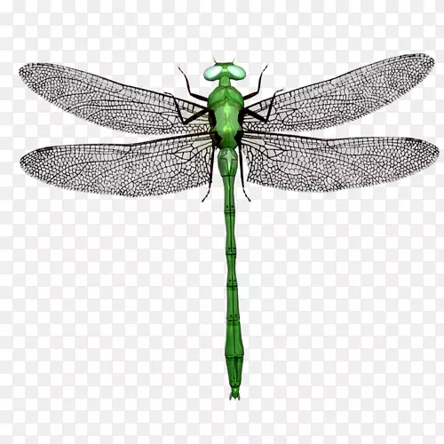 ����ԭͼͼ����Ӱ����˰-���-����-������