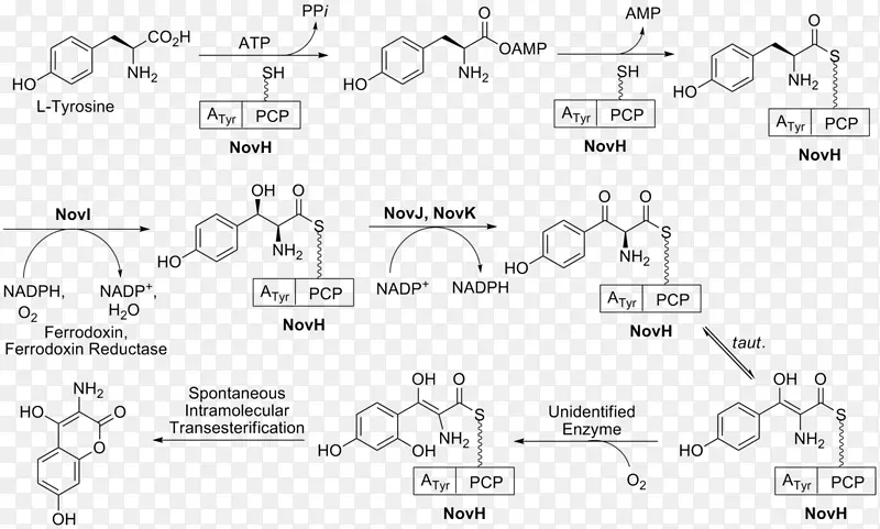 ç����;��ç�����Ұ���ǰ���ᱽ����-������