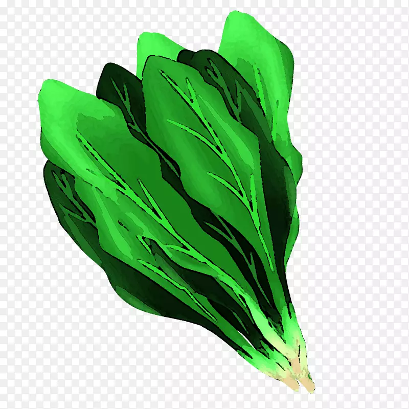 ��ȫ����-������