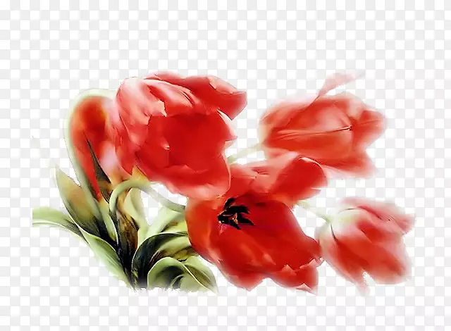 �Ա���Ʒ���ﲼ������-������