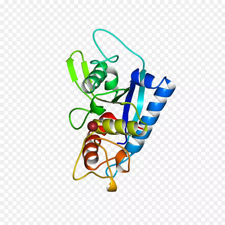 ��������Ʒ����л�����-������