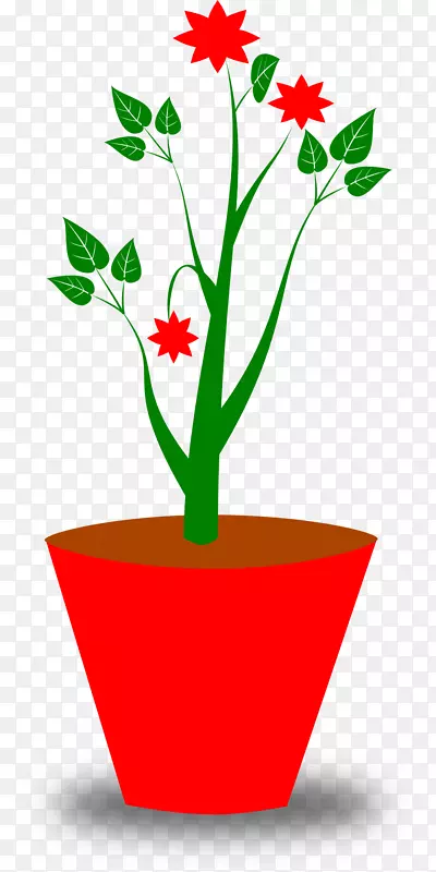 ���������ͼ��ͼ��.��-������