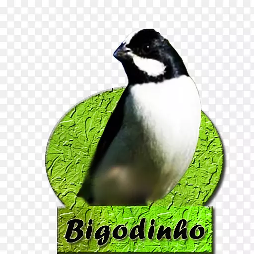 ���·����ڳĲ��ֻ�AndroidӦ�ó����-��-������