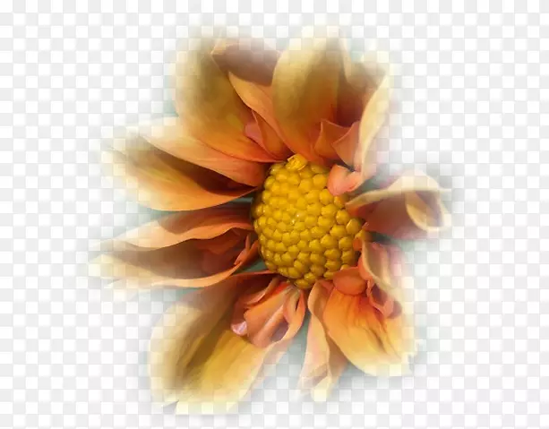 ������ջ�-�滭-������