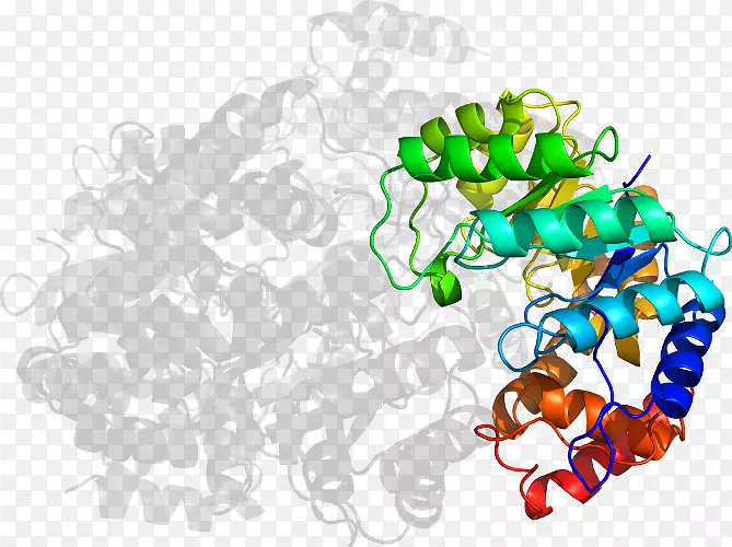 ��������Ʒ��-������