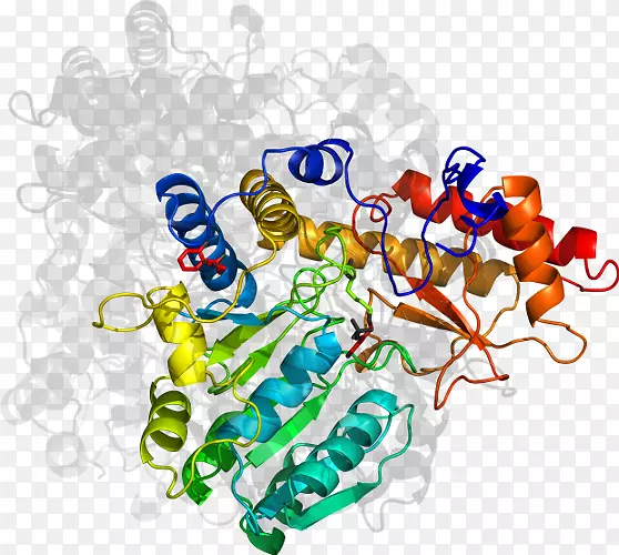 ������ϵ�в�Ʒ��������.�ǻ��ջ���-������