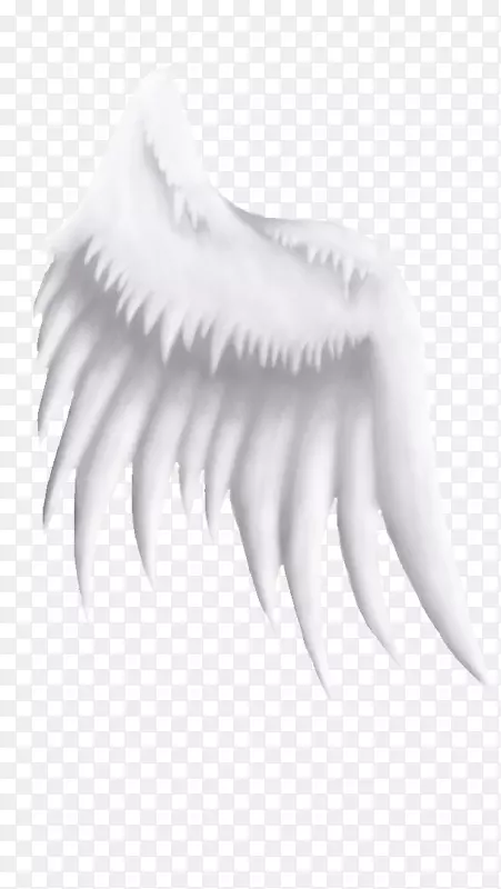 ����-������