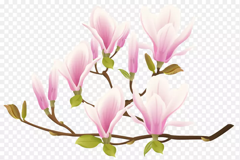 �ݱ�ֲ�ﾥ�����ֽ����С֦-������