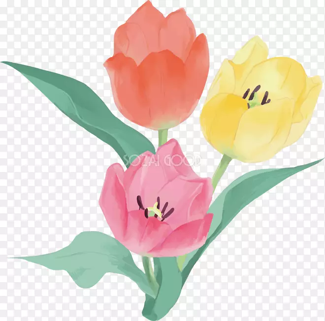 �����㻨�л�����ֲ�ﾥ-������