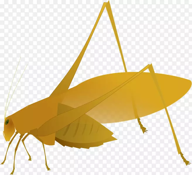 �ȳ�-������