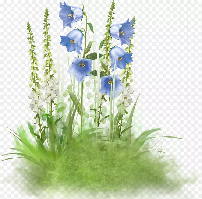 ��԰õ�帴��ڼ�����-��ɫ��-������