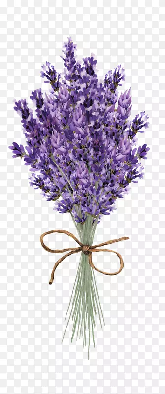 ޹�²ݼ�������Ʋ�ͼ�������뺯-޹�²ݱ�־-������