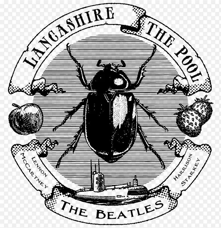 ����������Ϊ�׿ǳ��ֶ�8��1��-����-������