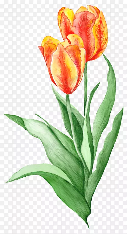 ��ͼ-���˰��Ӱ�滭-�滭-������