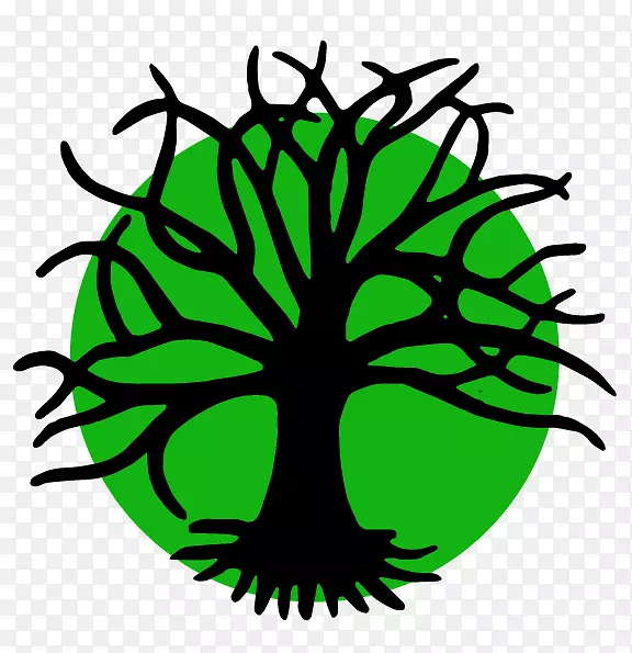 Ҷ���������߶Գ�-Ҷ-������