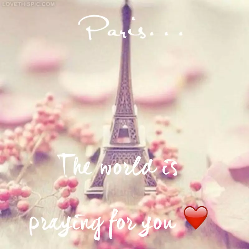 ���ƶ����������ֽ��Ӱ-����-������