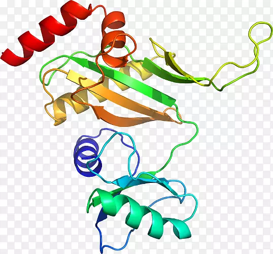 �������л����߶���-apo-������