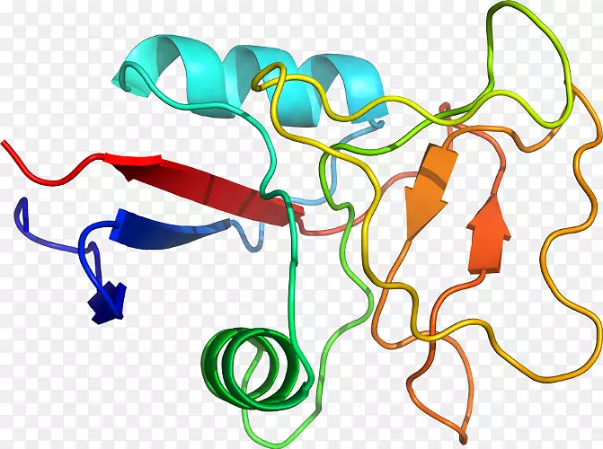 �����������߲�Ʒ���л��������-������