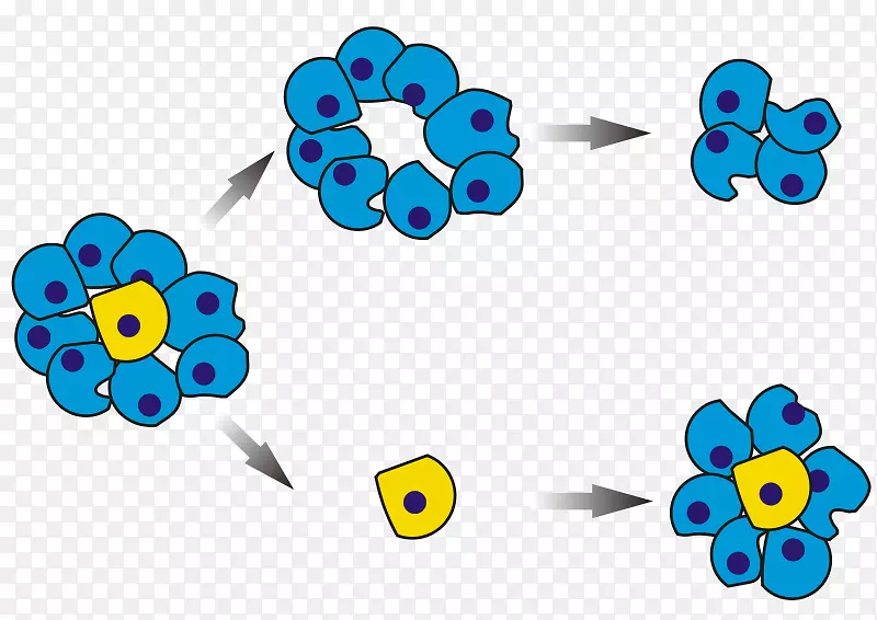 ������ϸ��-������