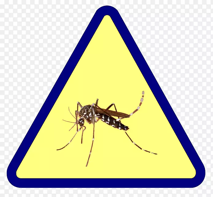 ���ӻ�԰�����6�����������-����-������