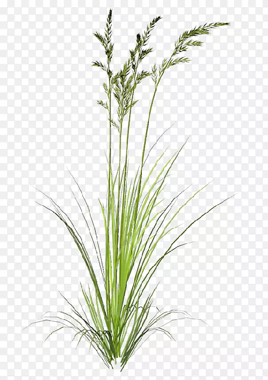 pngͼƬ��������������ͼ������-������-������