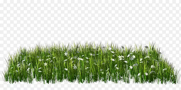 pngͼƬ��������ͼƬ��ƺ����-��-������