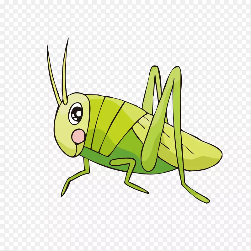 ����ȳ��󰻭�ȳ�-������