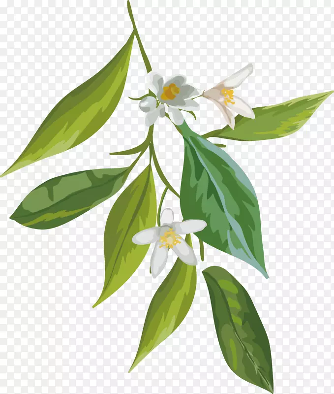 ͼ��ͼ���ͼˮ�ʻ�pngͼƬ�����Ļ���-������