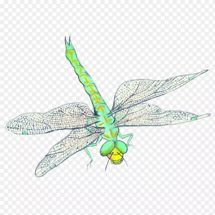 ����ͼ������pngͼƬ���.����-������