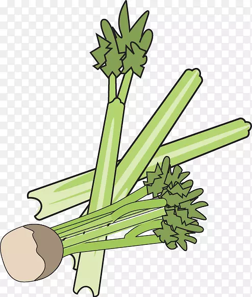 ��ɫֲ��ݼ�����������ֲ�ﾥ�۲�-������