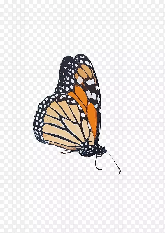 ���������������Ȧ������Ů����������������������-���Ƕ�˹��-������