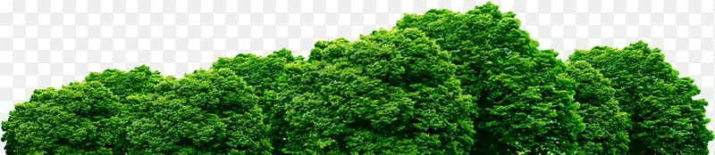 pngͼƬͼ��������滭-������