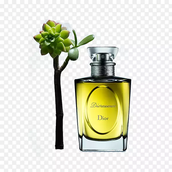 ���ζ���ˮ���Ϳ���˹͡�ϰ�˹���ʦ-�ϰ�-������