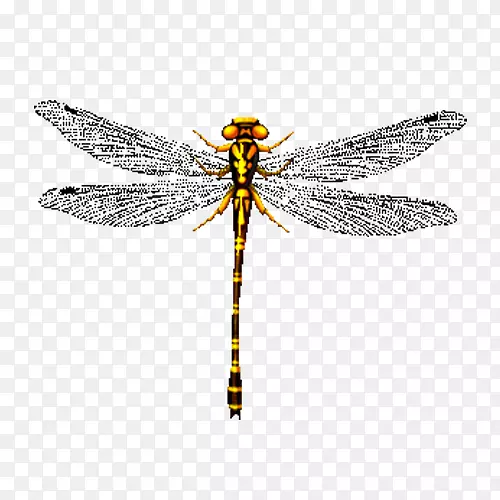 �������ͼ��pngͼƬװ������-������