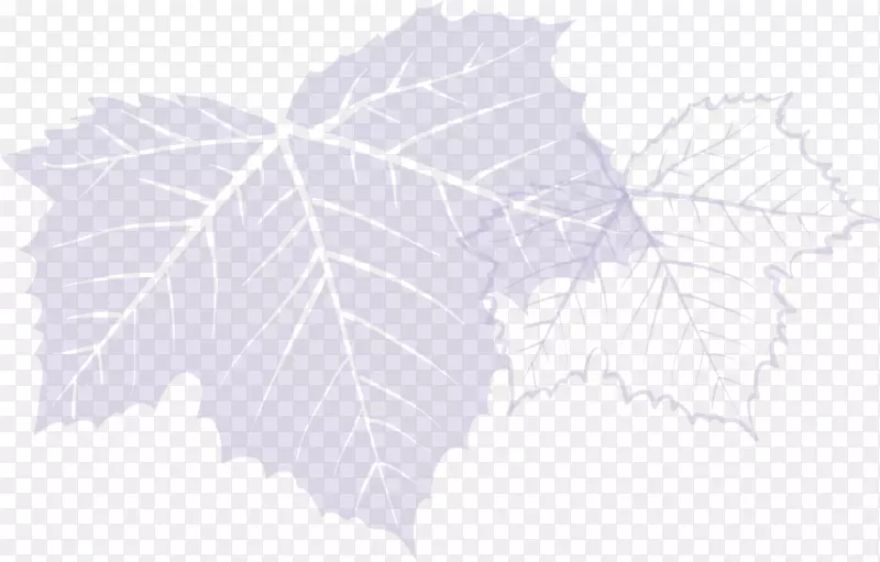 ֦Ҷ״-������