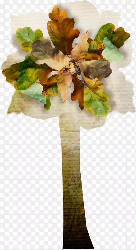 �廨���pngͼƬ����-����Ϊ-������