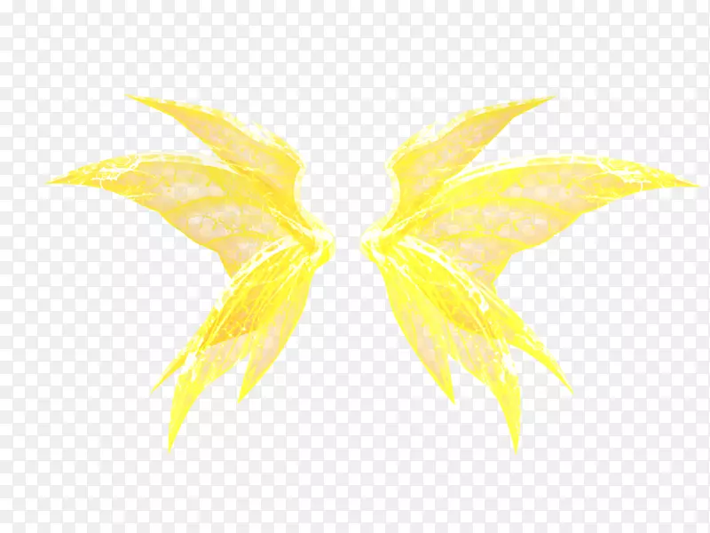 Ҷ����-������