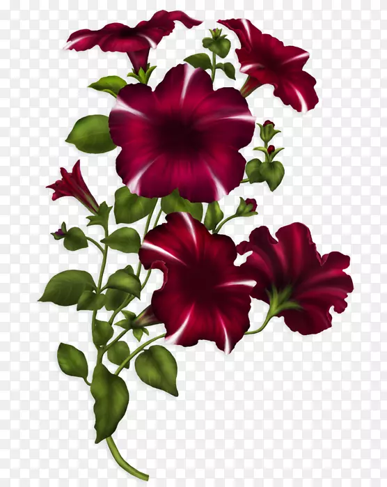 ���ո���ֽ�����Ե���ؿ�-������